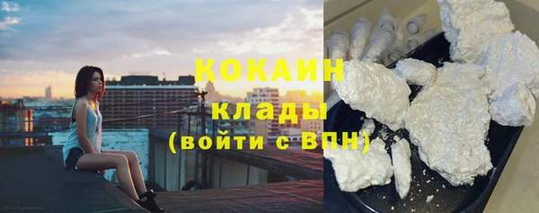 spice Новодвинск